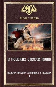 Игорь Шелег - Книга 2. В поиске своего пути