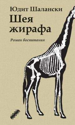 Софи Оксанен - Когда исчезли голуби