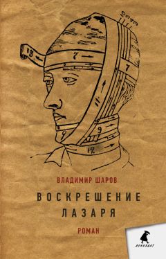 Владимир Шали - Черты вселенной в ее движении о самой себе