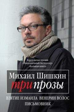 Михаил Шишкин - Три прозы (сборник)