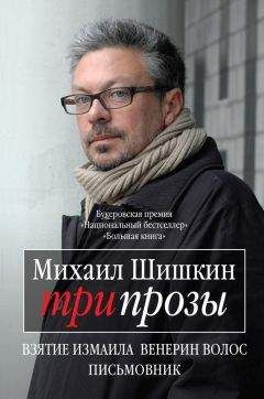 Захар Прилепин - Дорога в декабре (сборник)