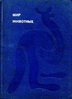 Наталья Гусева - Индия в зеркале веков