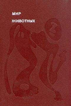 Юрий Райтаровский - Сообщения о непонятных умерщвлениях домашних животных