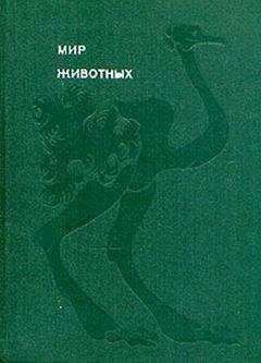 Альфред Брэм - Жизнь животных, Том I, Млекопитающие