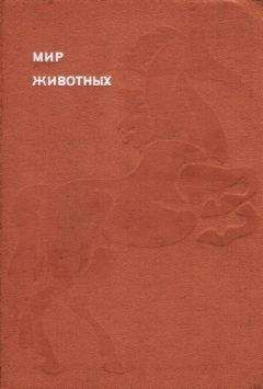 Владимир Карцев - Приключения великих уравнений