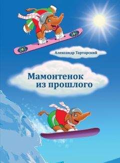 Александр Волков - Приключения двух друзей в стране прошлого