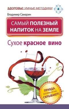 Николай Звонарев - Домашние слабоалкогольные напитки. Медовуха, пиво, игристые вина, сидр…