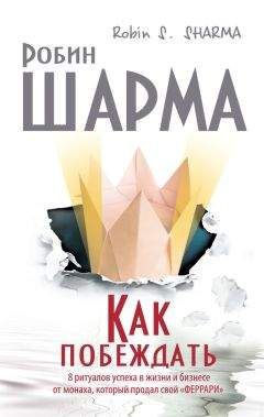 К. Шмидт - Новая школа жизни. I том. Сила в тебе самом