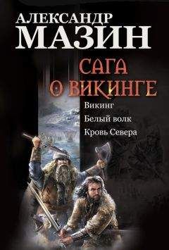 Александр Мазин - Вождь викингов
