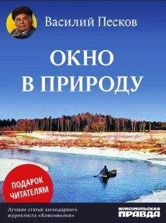 Василий Песков - Окно в природу