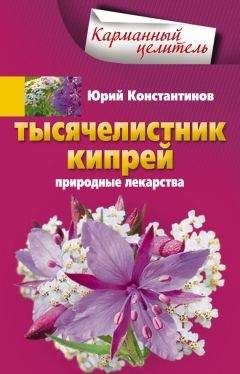 Юрий Константинов - Лечим авитаминоз народными средствами