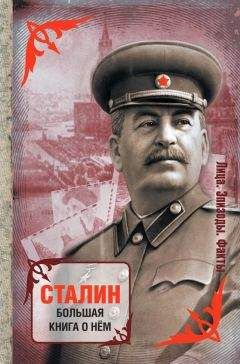 Борис Соловьев - Полководец Сталин