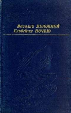 Владимир Возовиков - Особое задание