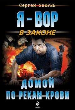 Владимир Колычев - Авторитетный роман