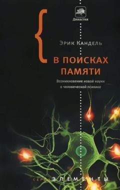 Александр Яковлев - Омут памяти