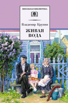 Владимир Лидин - Рассказы о двадцатом годе [Сборник]