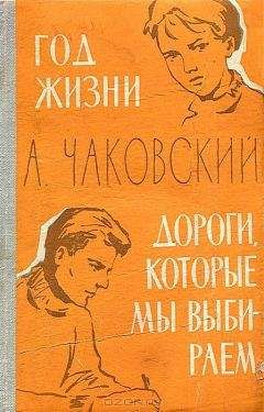 Даниил Гранин - Выбор цели