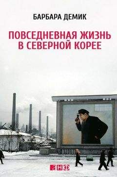 Алексей Митрофанов - Повседневная жизнь русского провинциального города в XIX веке. Пореформенный период