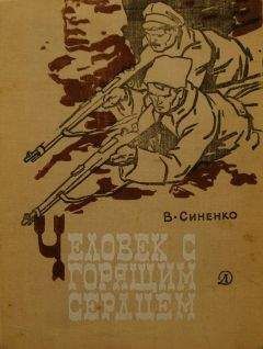 Владимир Соколовский - Во цвете самых пылких лет