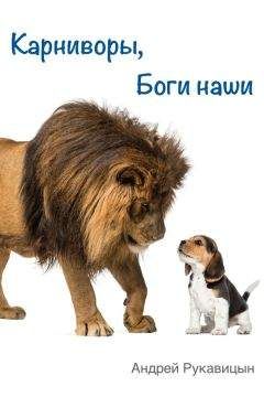 Владимир Васильев - Охота на дикие грузовики
