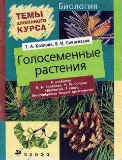 Владислав Сивоглазов - Голосеменные растения