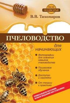 Евгений Мухутдинов - Как сделать свой сайт и заработать на нем. Практическое пособие для начинающих по заработку в Интернете