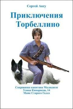 Анатолий Дубровный - И снова приключения