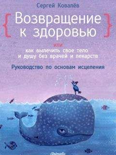 Возвращение к здоровью или как вылечить свое тело и душу без врачей скачать thumbnail