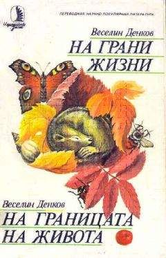 Алексей Ухтомский - Наша прекрасная Александрия. Письма к И. И. Каплан (1922–1924), Е. И. Бронштейн-Шур (1927–1941), Ф. Г. Гинзбург (1927–1941)