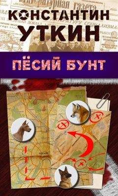  Альфина - «Пёсий двор», собачий холод. Том III (СИ)
