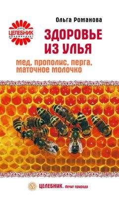 Валентина Книженко - Лекарства из улья