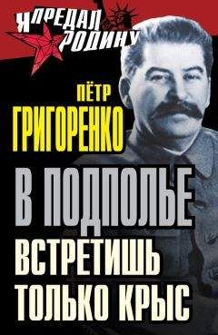 Петр Григоренко - В подполье можно встретить только крыс…