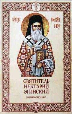 Анаклето Яковелли - Жизнеописание святого Франциска Ассизского