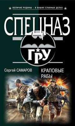 Дейл Браун - Ночь ястреба