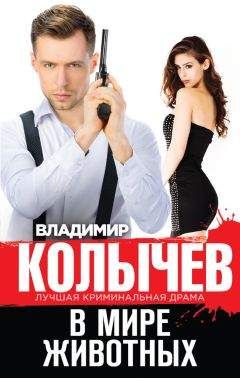Олег Красин - Странники
