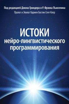 Юлия Шапиро - Кризис как способ расправить крылья