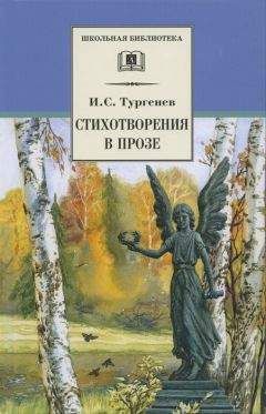 Марина Цветаева - Проза (сборник)