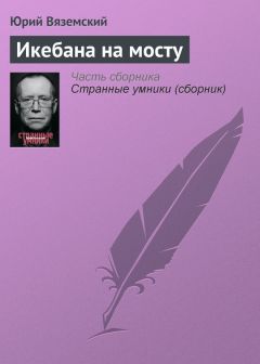 Юрий Вяземский - Икебана на мосту