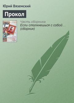 Юрий Вяземский - Икебана на мосту