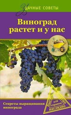 Галина Серикова - Виноград. Секреты чудо-урожая