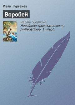 Модест Богданов - Домашний воробей