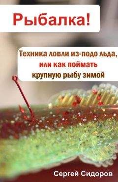Антон Шаганов - Рыболовные сети и экраны