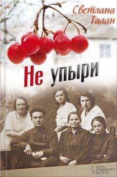 Хавьер Серкас - В чреве кита
