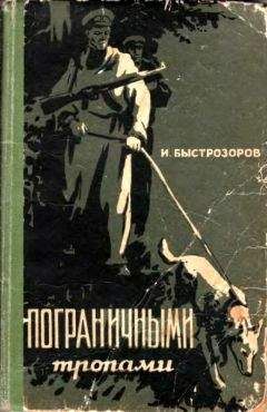 Ф. Вишнивецкий - Тридцатая застава
