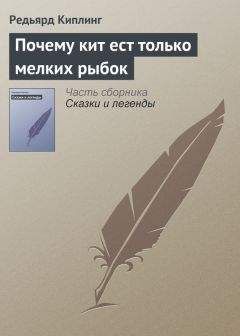 Павел Калмыков - Лето разноцветно-косолапое