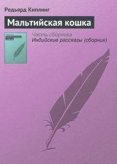 Редьярд Киплинг - Строители моста