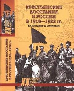 Петр Аршинов - ИСТОРИЯ МАХНОВСКОГО ДВИЖЕНИЯ