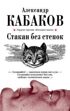 Александр Кабаков - Дом моделей