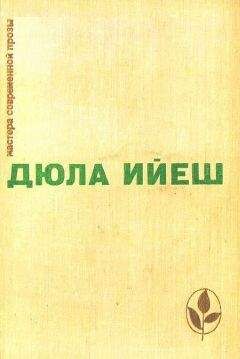 Божена Немцова - В замке и около замка