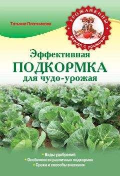 Галина Кизима - Чудо-грядки: не копаем, а урожай собираем